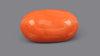 Italian Red Coral 9.48 Carats / 10.42 Ratti