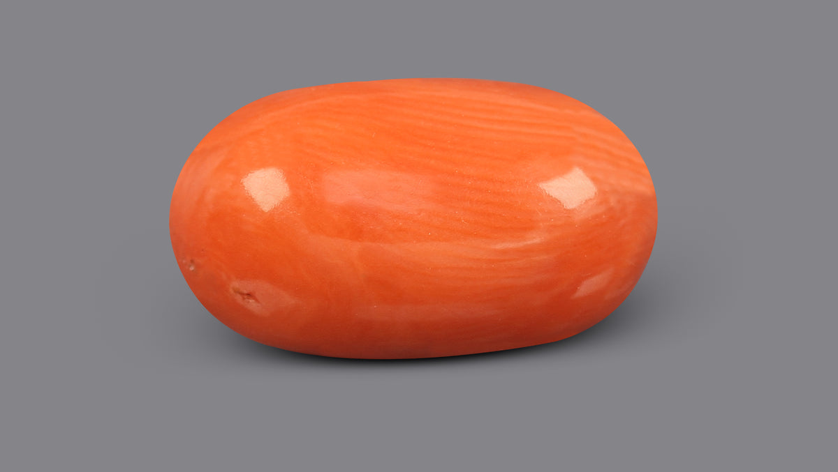 Italian Red Coral 9.48 Carats / 10.42 Ratti