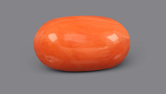 Italian Red Coral 9.48 Carats / 10.42 Ratti