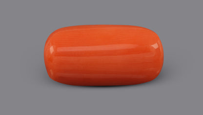 Italian Red Coral 5.73 Carats / 6.3 Ratti