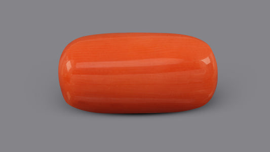 Italian Red Coral 5.73 Carats / 6.3 Ratti