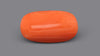 Italian Red Coral 9.77 Carats / 10.74 Ratti