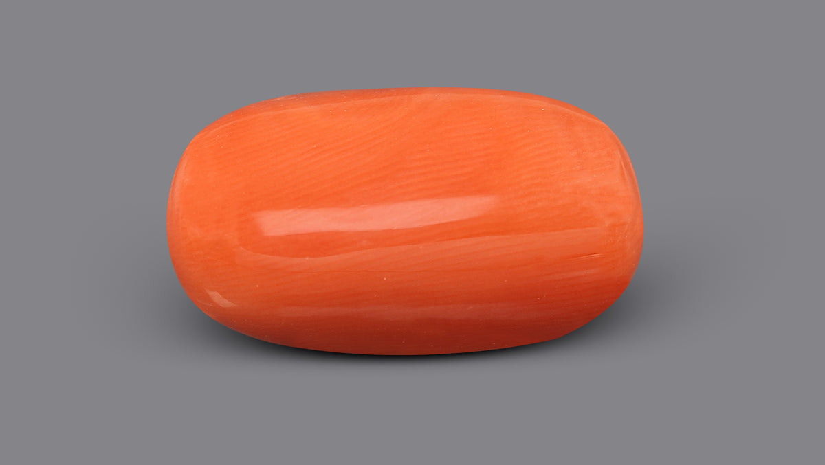 Italian Red Coral 9.77 Carats / 10.74 Ratti