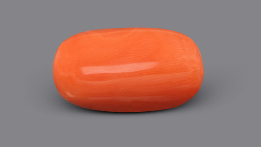 Italian Red Coral 9.77 Carats / 10.74 Ratti