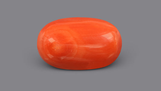 Italian Red Coral 11.61 Carats / 12.76 Ratti