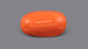 Italian Red Coral 13.27 Carats / 14.58 Ratti