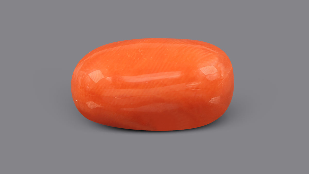 Italian Red Coral 13.27 Carats / 14.58 Ratti