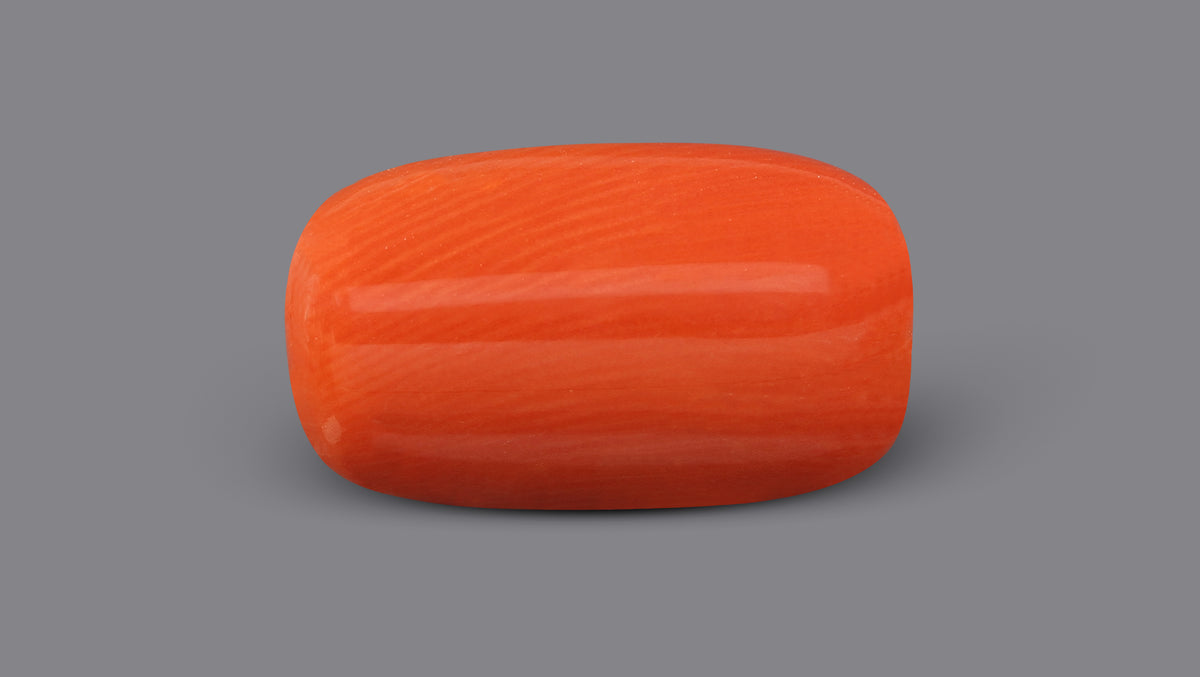 Italian Red Coral 9.54 Carats / 10.48 Ratti