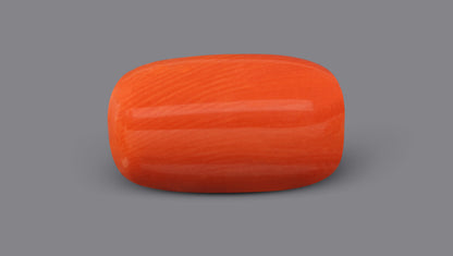 Italian Red Coral 9.54 Carats / 10.48 Ratti