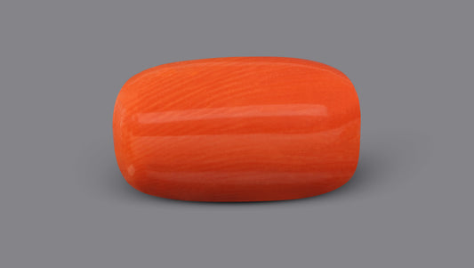 Italian Red Coral 9.54 Carats / 10.48 Ratti