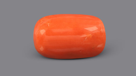 Italian Red Coral 9.70 Carats / 10.66 Ratti