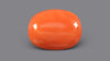 Italian Red Coral 10.52 Carats / 11.56 Ratti