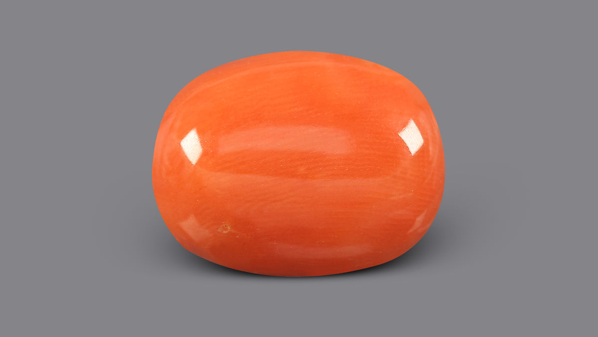 Italian Red Coral 10.52 Carats / 11.56 Ratti