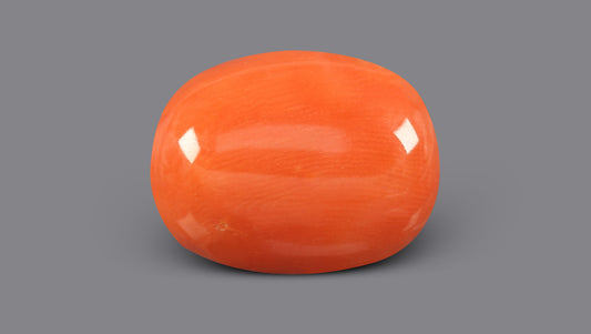 Italian Red Coral 10.52 Carats / 11.56 Ratti