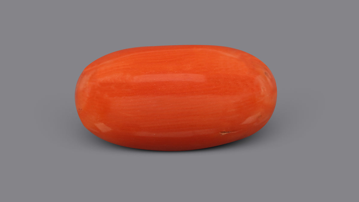 Italian Red Coral 9.45 Carats / 10.38 Ratti