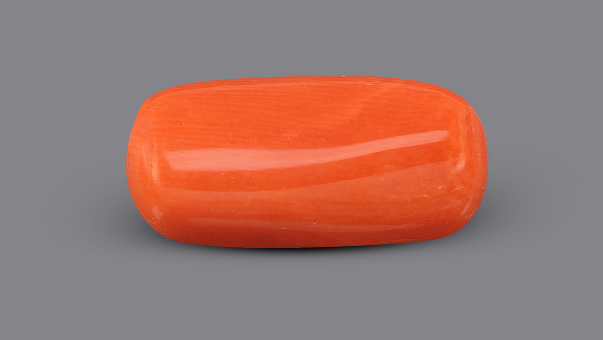 Italian Red Coral 6.52 Carats / 7.16 Ratti