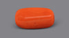 Italian Red Coral 6.48 Carats / 7.12 Ratti