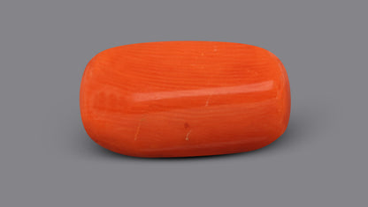 Italian Red Coral 6.48 Carats / 7.12 Ratti