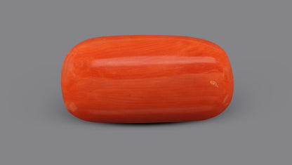 Italian Red Coral (Moonga) 9.31 Carats / 10.23 Ratti