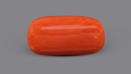 Italian Red Coral (Moonga) 9.31 Carats / 10.23 Ratti