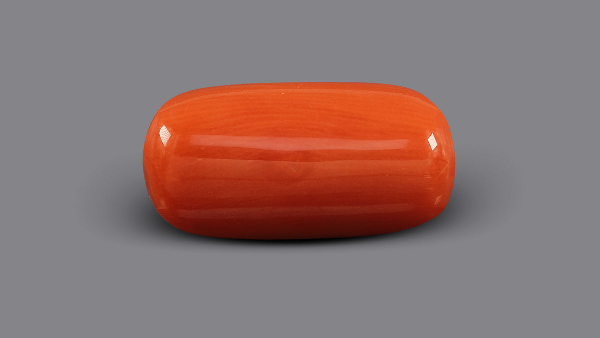 Italian Red Coral 7.63 Carats / 8.38 Ratti