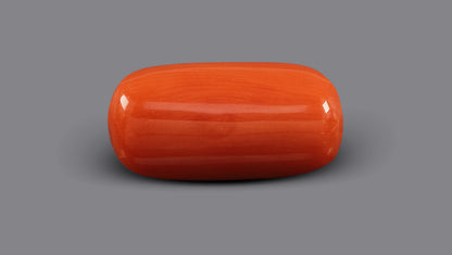 Italian Red Coral 7.63 Carats / 8.38 Ratti