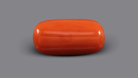 Italian Red Coral 7.63 Carats / 8.38 Ratti