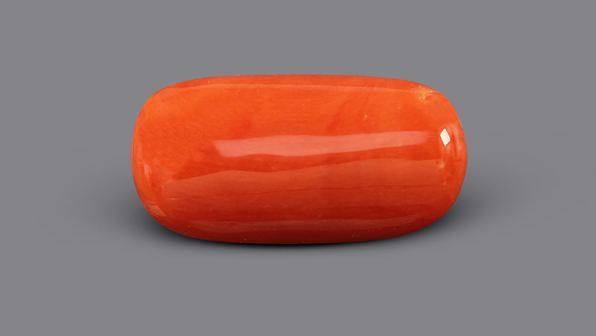Italian Red Coral 6.84 Carats / 7.52 Ratti