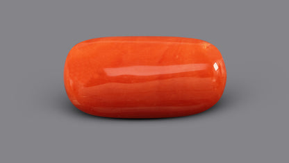 Italian Red Coral 6.84 Carats / 7.52 Ratti