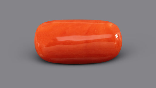 Italian Red Coral 6.84 Carats / 7.52 Ratti