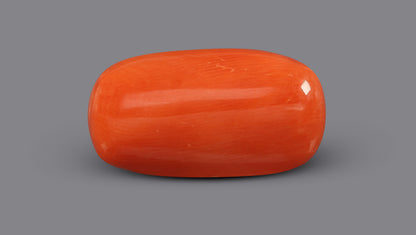 Italian Red Coral 6.15 Carats / 6.76 Ratti