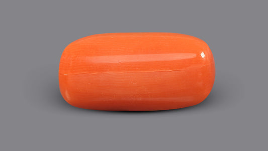 Italian Red Coral 6.18 Carats / 6.79 Ratti