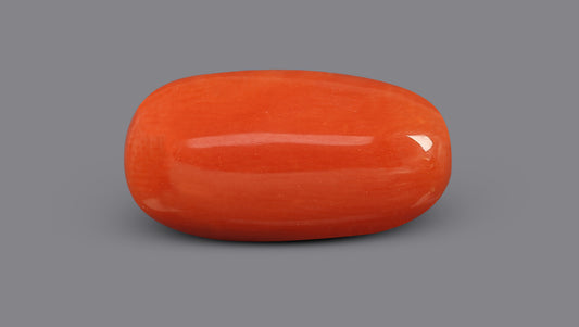 Italian Red Coral 6.04 Carats / 6.64 Ratti