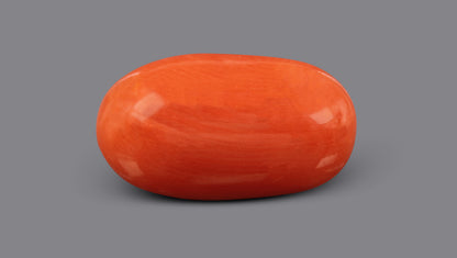 Italian Red Coral 7.13 Carats / 7.84 Ratti