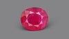 Burmese Ruby (Manik) 5.51 Carats / 6.05 Ratti