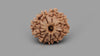 9 MUKHI RUDRAKSHA (22.77 mm)