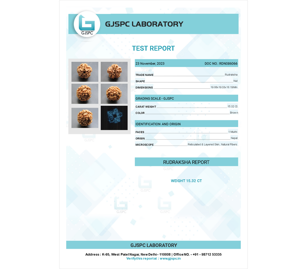 1 MUKHI RUDRAKSHA (19.88 mm)