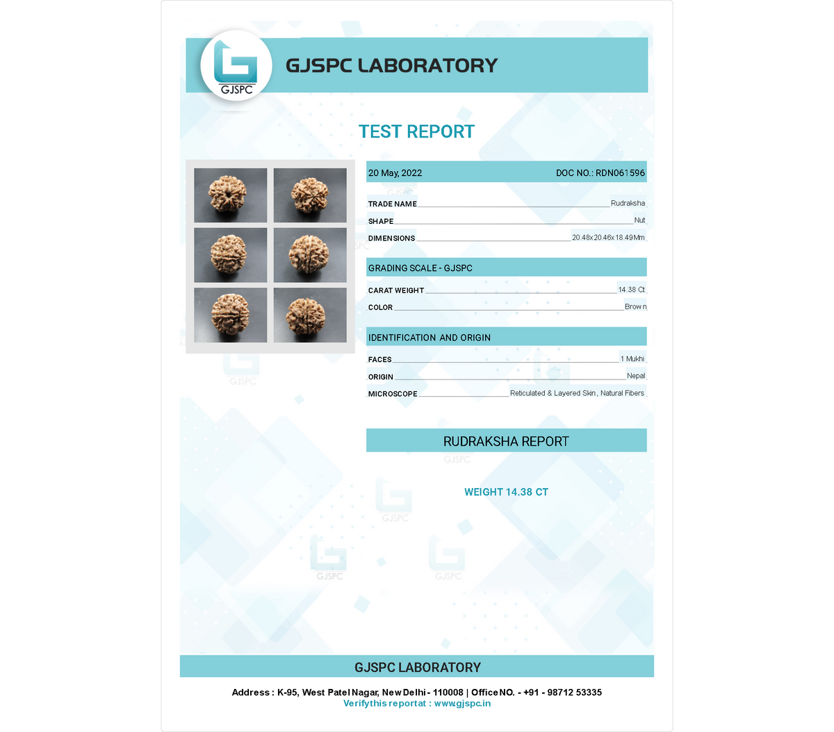 1 MUKHI RUDRAKSHA (20.48 mm)