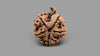 5 MUKHI GANESH RUDRAKSHA (21.49 mm)