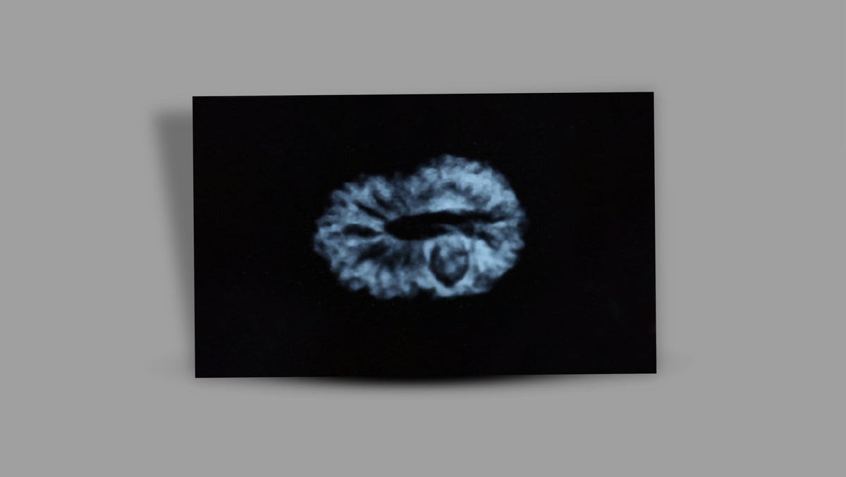 17 MUKHI RUDRAKSHA (20.87 mm)