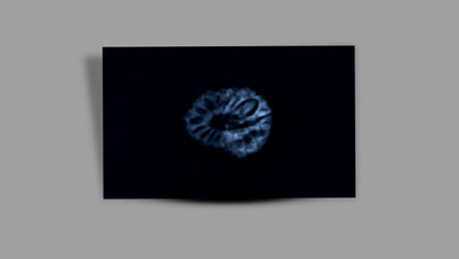 17 MUKHI RUDRAKSHA (20.60 mm)