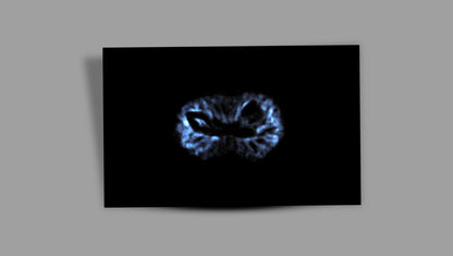 17 MUKHI RUDRAKSHA (21.56 mm)