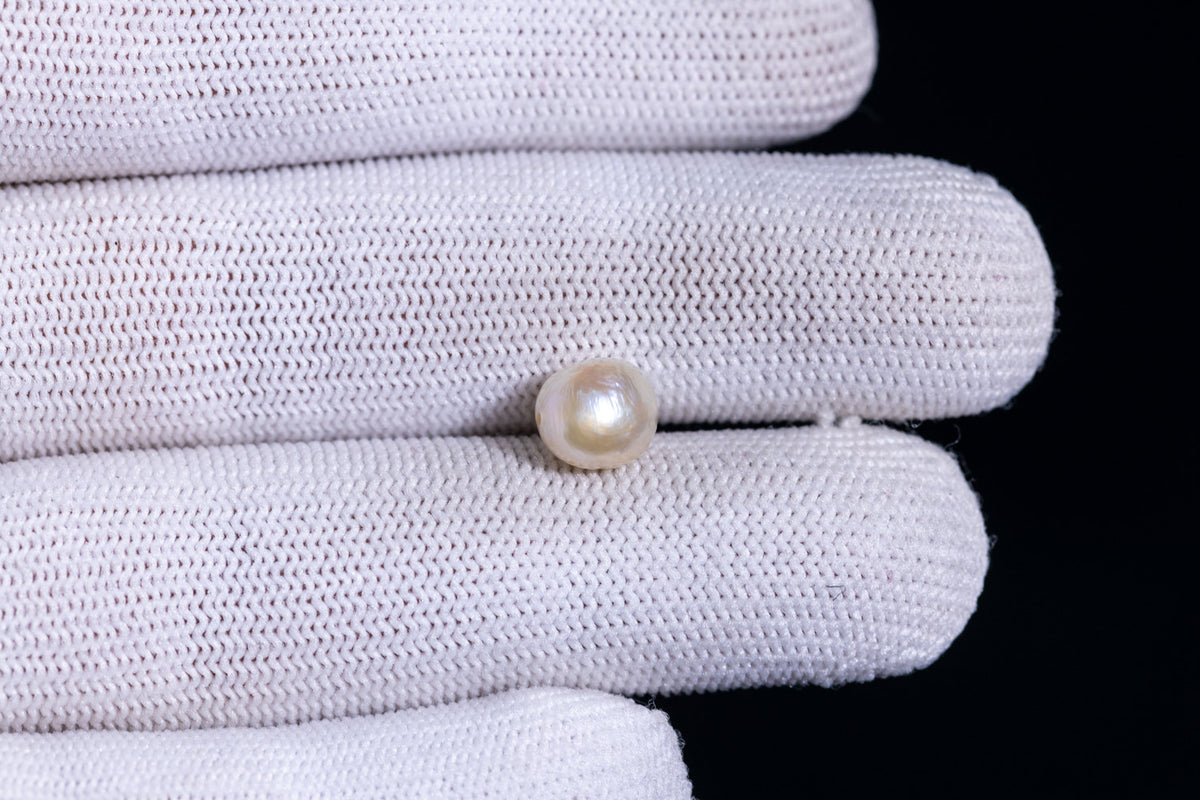 Basra Pearl 3.59 Carats / 3.95 Ratti