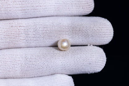 Basra Pearl 3.59 Carats / 3.95 Ratti