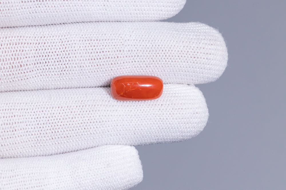 Italian Red Coral 7.58 Carats / 8.33 Ratti