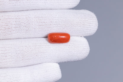 Italian Red Coral 7.58 Carats / 8.33 Ratti