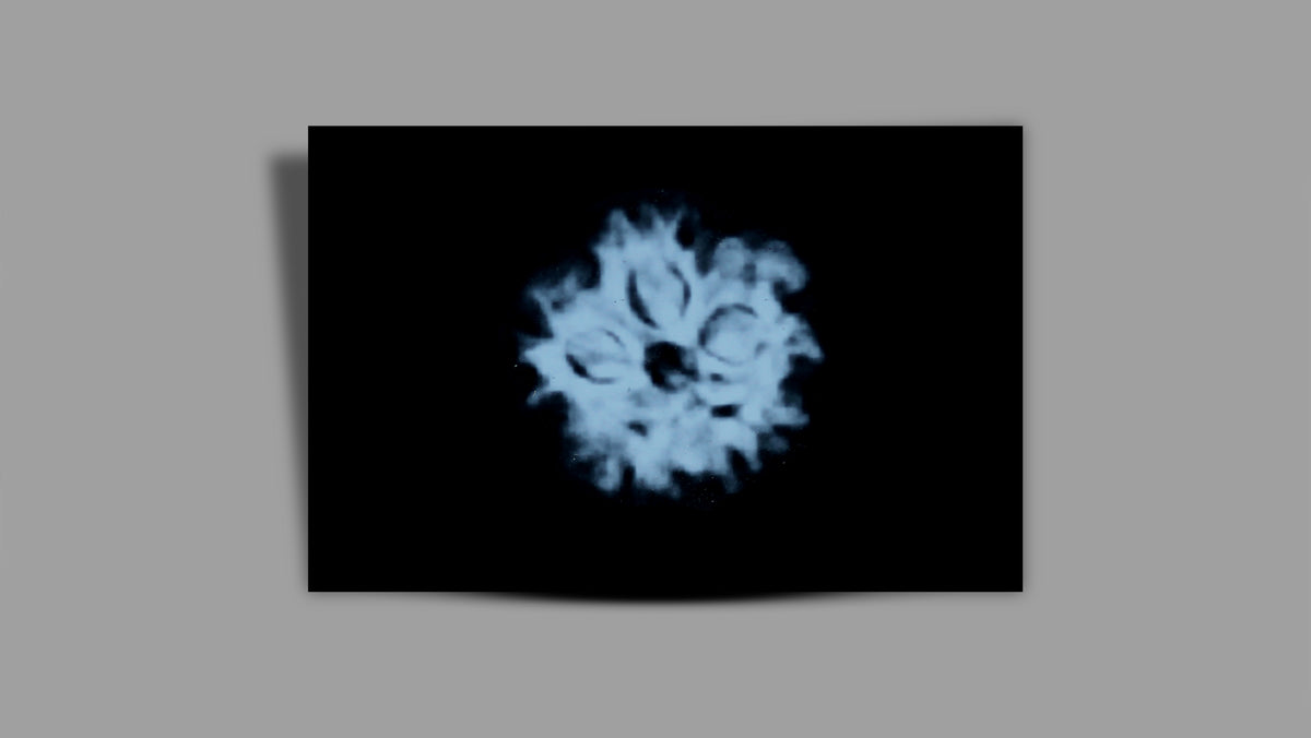1 MUKHI RUDRAKSHA (20.48 mm)