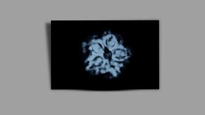 1 MUKHI RUDRAKSHA (19.25 mm)