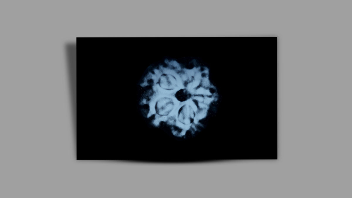 1 MUKHI RUDRAKSHA (18.60 mm)
