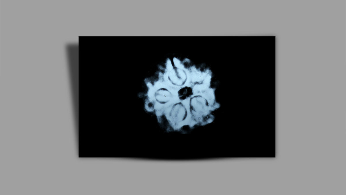 1 MUKHI RUDRAKSHA (17.02 mm)